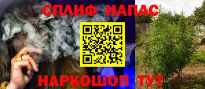 дживик Можга