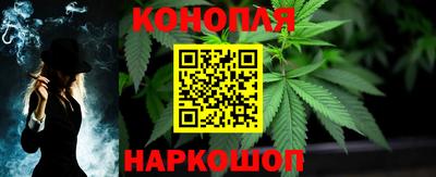 дживик Можга