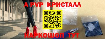 дживик Можга