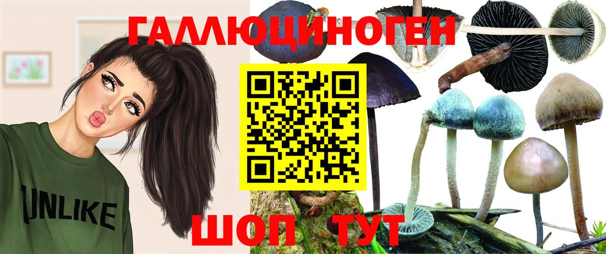 Старая Купавна  Галлюциногенные грибы прущие грибы  Галлюциногенные грибы мухоморы  Вход с VPN 
